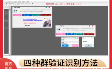[CaT]-软件+群验证源码